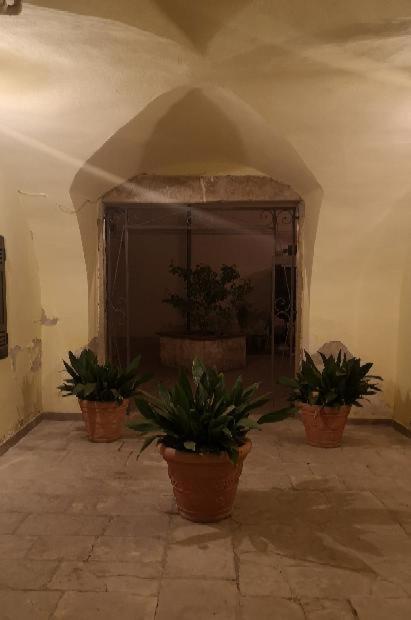 Les Maisons Coco Trani Zewnętrze zdjęcie